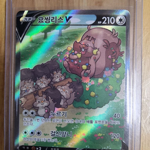 포켓몬카드 요씽리스 V SR 특일 이미지