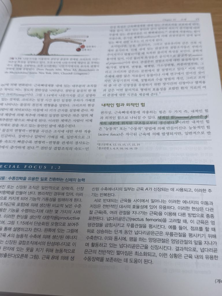 뉴만 Kinesiology 3판 범문에듀--1