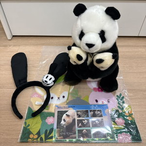 에버랜드 푸바오 정품 인형, 안녕 할부지 엽서 씰, 도쿄 디즈니 미키 정품 머리띠 일괄