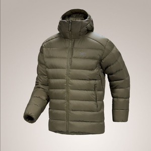 아크테릭스 토륨 후디 타츠 L 사이즈 팝니다! (새상품)