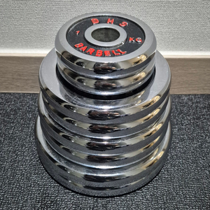 (택포) 17KG 경량 크롬 바벨 원판 플레이트