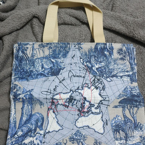 디올 익스클루시브 에코백