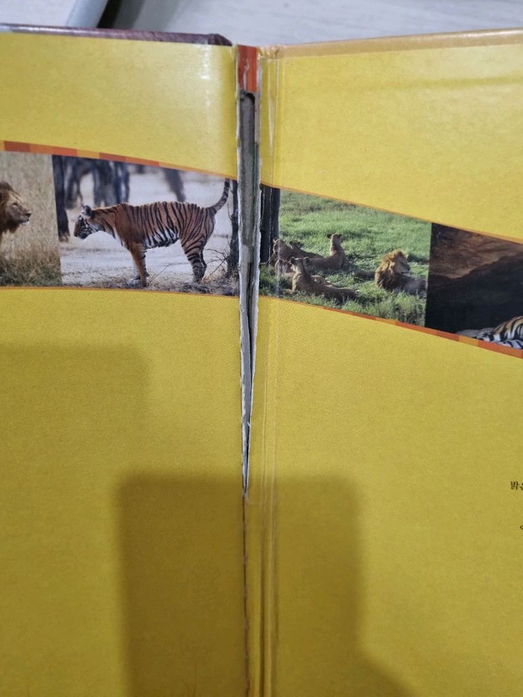 프뢰벨 자연관찰 책50권 cd dvd 10개 부모지침서--4