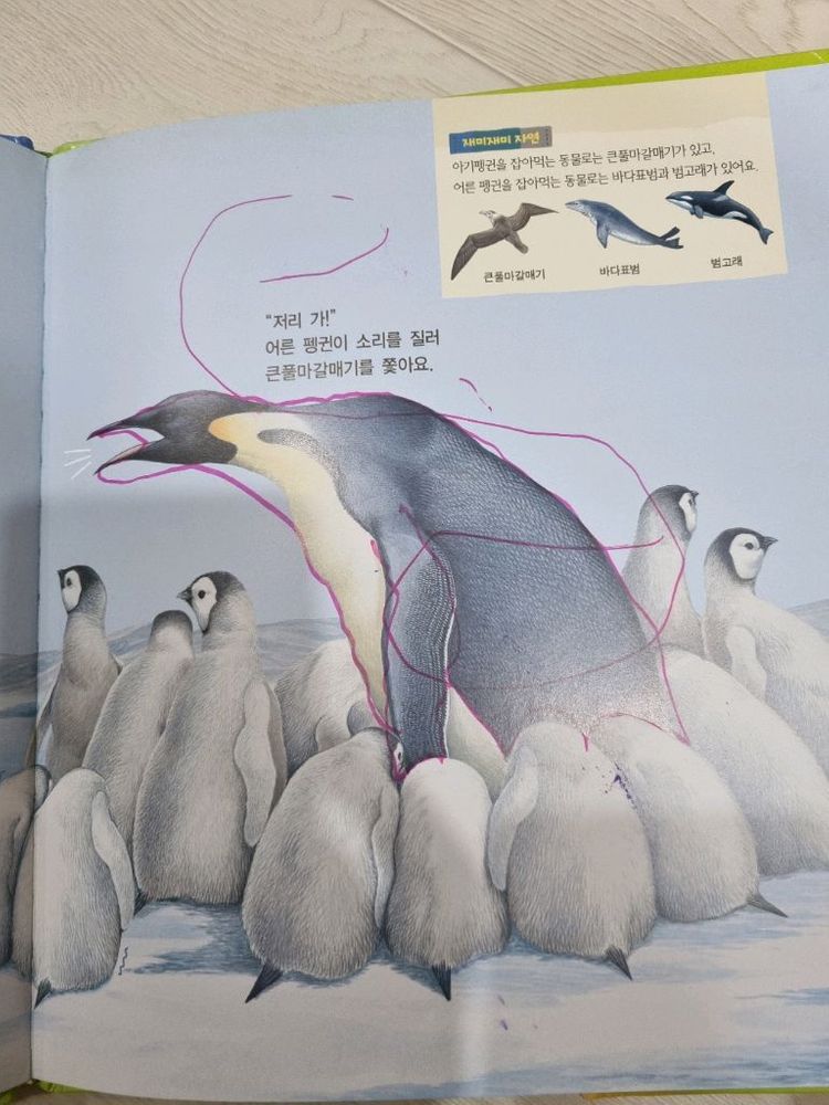 프뢰벨 자연관찰 책50권 cd dvd 10개 부모지침서--6