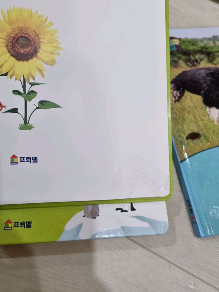 프뢰벨 자연관찰 책50권 cd dvd 10개 부모지침서--7