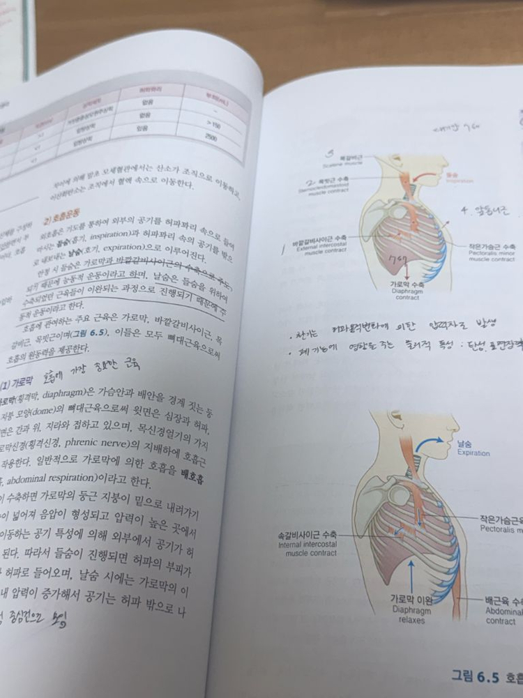 생리학 6판 학지사메디컬--1