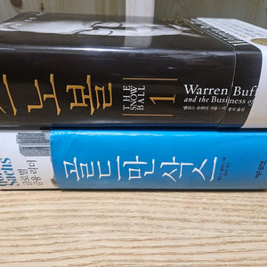 경제도서] 골드만삭스 [찰스D엘리스]