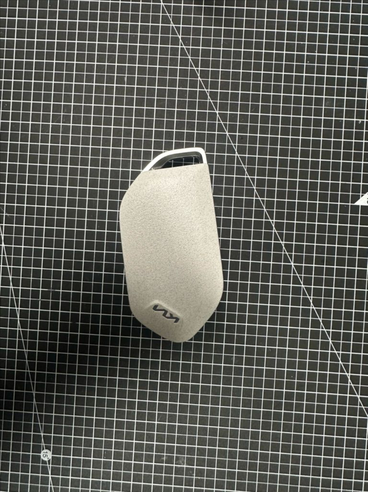 기아 스마트키 이미지