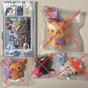 엔시티위시 로그인 엠디 양도 시오닝 위시돌 미니돌 키링 포토 세트 쿠리 버블냥 시온 리쿠 유우시