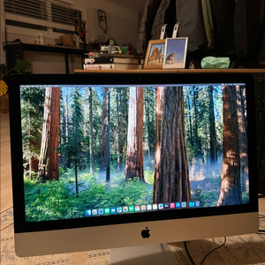 애플 아이맥 2019 27인치 5k 고급형 CTO