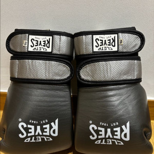 레예스 글러브 12온스 이미지