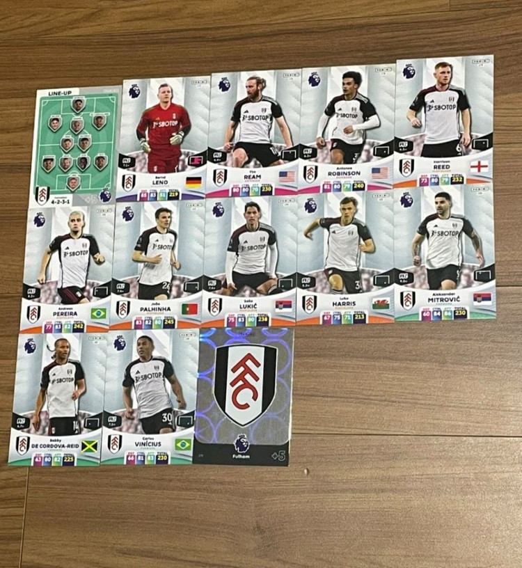 (23/24) EPL 파니니 축구카드 150장--1