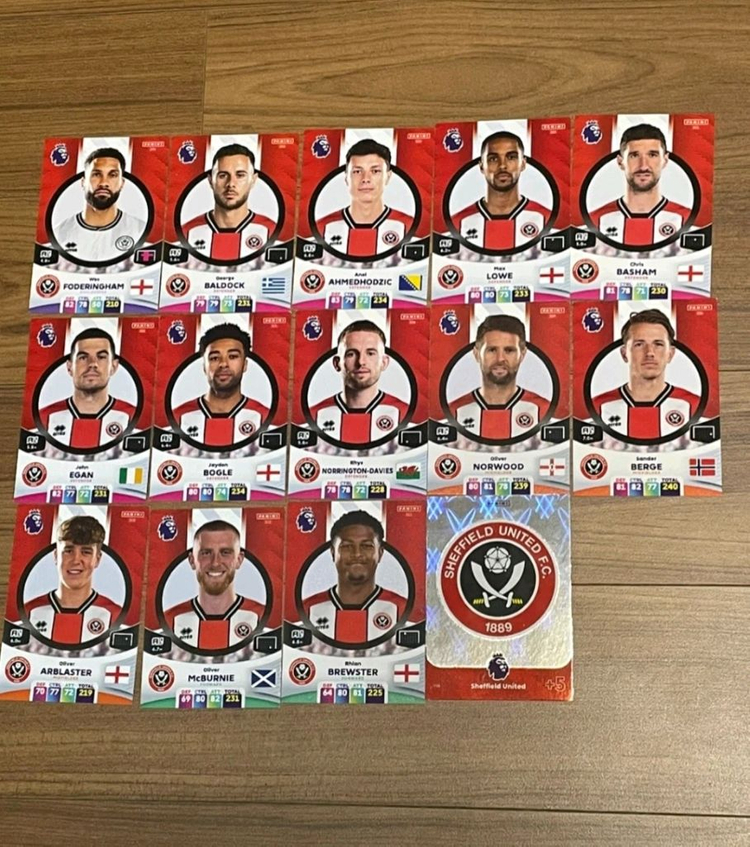 (23/24) EPL 파니니 축구카드 150장--3