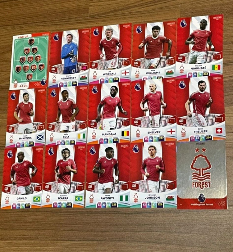 (23/24) EPL 파니니 축구카드 150장--7