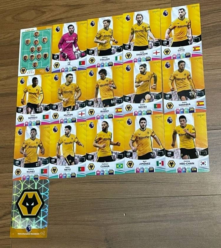 (23/24) EPL 파니니 축구카드 150장--8