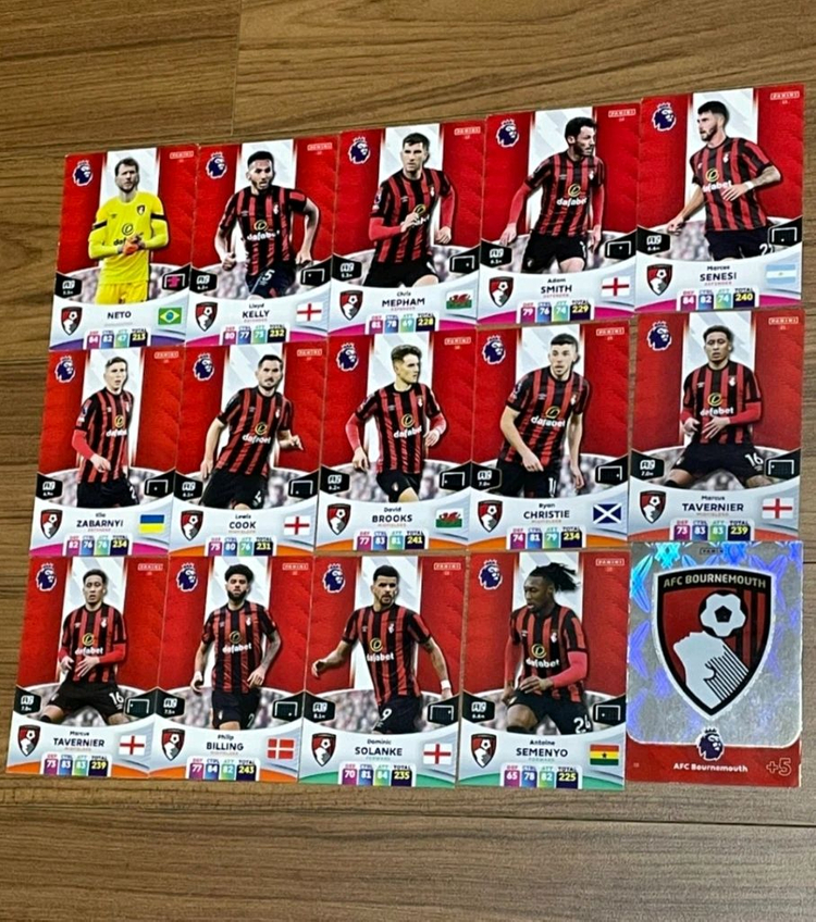 (23/24) EPL 파니니 축구카드 150장--9