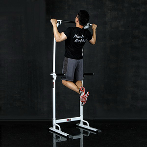 반석스포츠 비스펙 치닝디핑 기본형 (철봉 / 턱걸이 / 상체운동 기구)