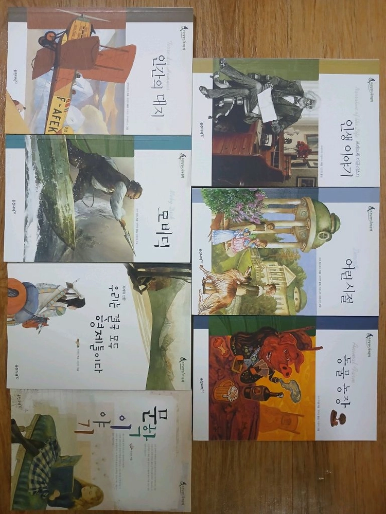 푸른담쟁이 세계문학 27권 이미지