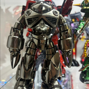 rg샤아전용 즈고크 사제코팅