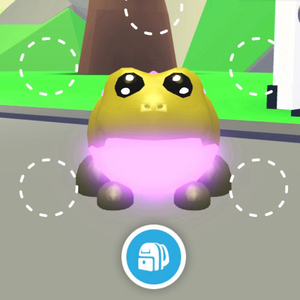 입양하세요 메가/네온 펫 이미지