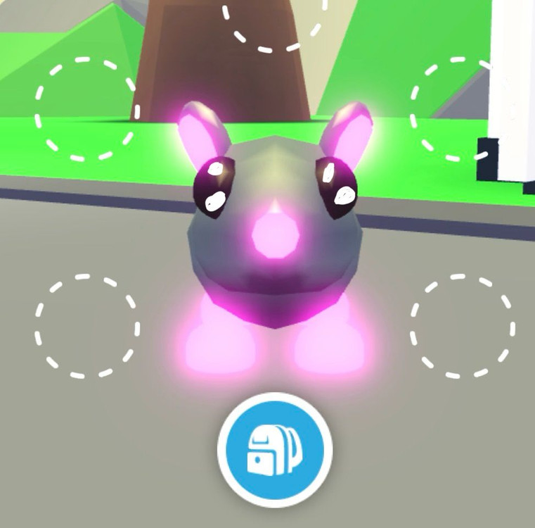 입양하세요 메가/네온 펫 이미지