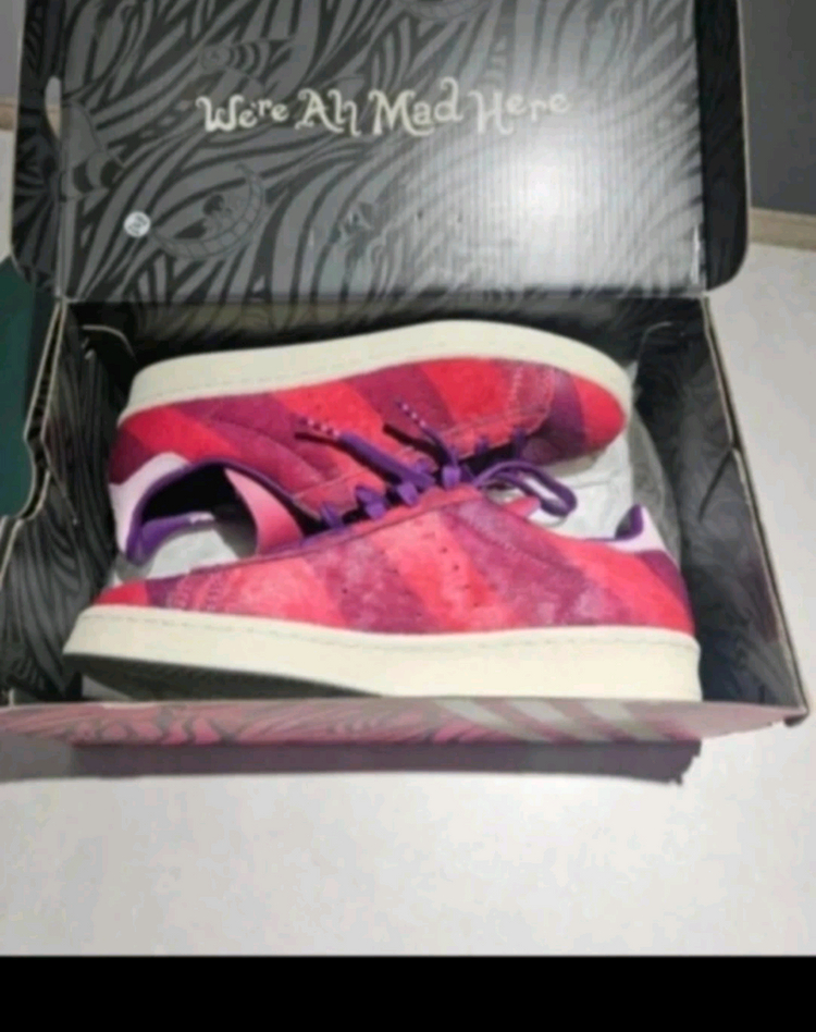 아디다스 255mm 미착용--2