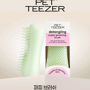 펫티저 퍼피 브러쉬