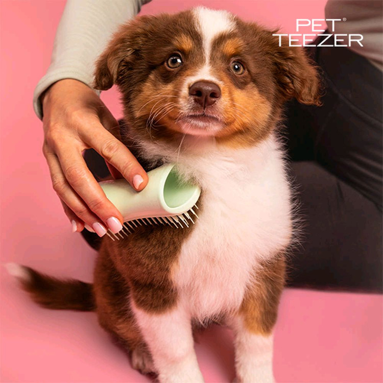 펫티저 퍼피 브러쉬--1