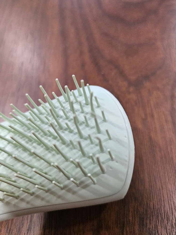 펫티저 퍼피 브러쉬--6