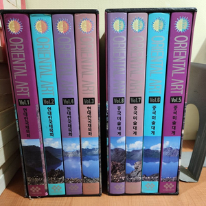 현대한국채묵화, 중국미술대계