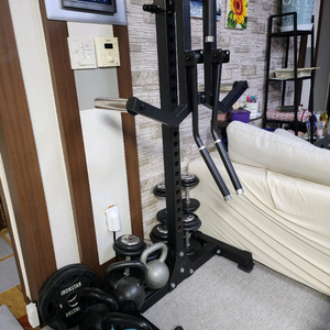 바디엑스 사레레머신 팝니다.