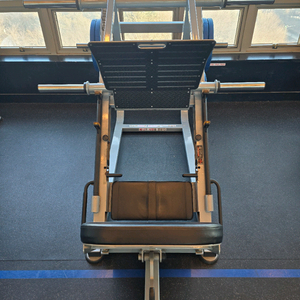 뉴텍 파워레그프레스 판매