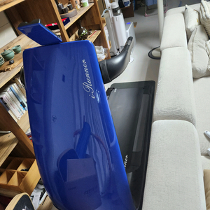 아이러니 런닝어신 30만원