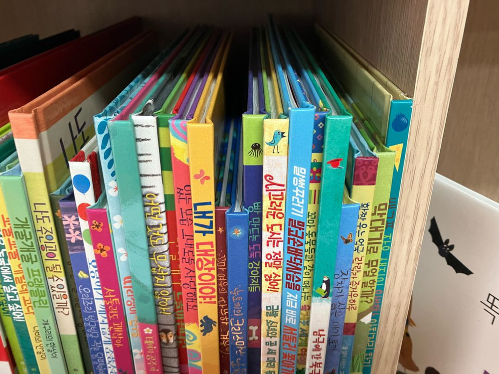 사파리 그림책(택포)--2