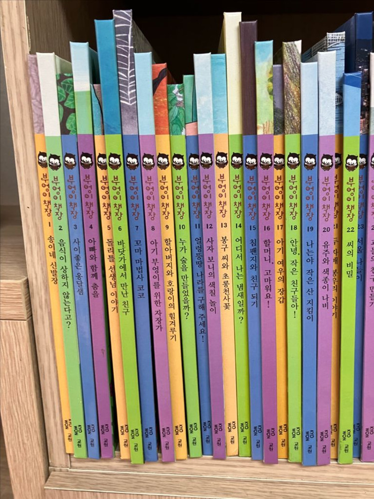 부엉이책장(택포)--3