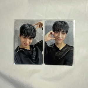 세븐틴 페더썬 도겸 포카 일괄판매 이미지