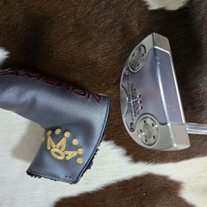 스카티카메론 셀렉트 패스트백 34인치 퍼터 이미지