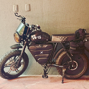 엑스라이더 x200pro 프로 투배터리 55ah 풀옵션 풀커스텀 전기자전거 자토바이