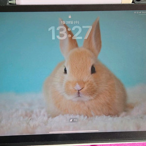 [SS급/준신품급] 아이패드 에어4 64GB + 애플펜슬 2세대 풀박스세트