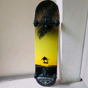 스케이트보드 2대