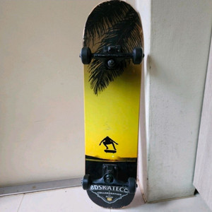 스케이트보드 2대
