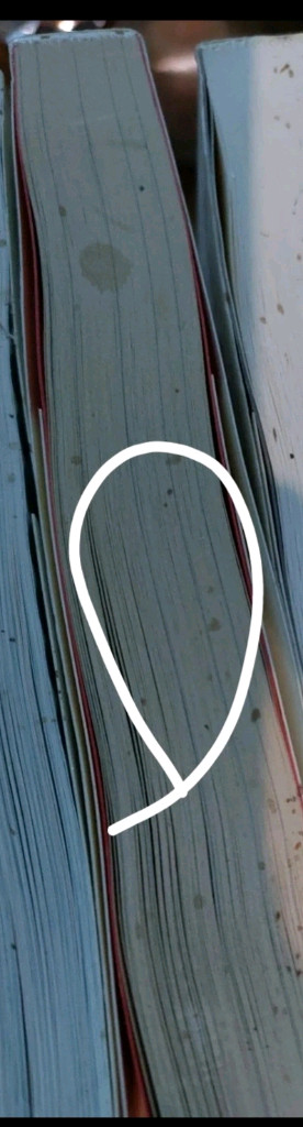 로마명당 이후의 지중해 세계 상--1