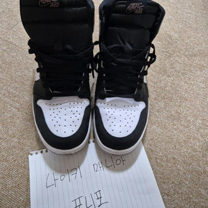 나이키 코랄하이조던 290