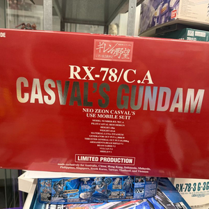 PG 캬스발전용건담