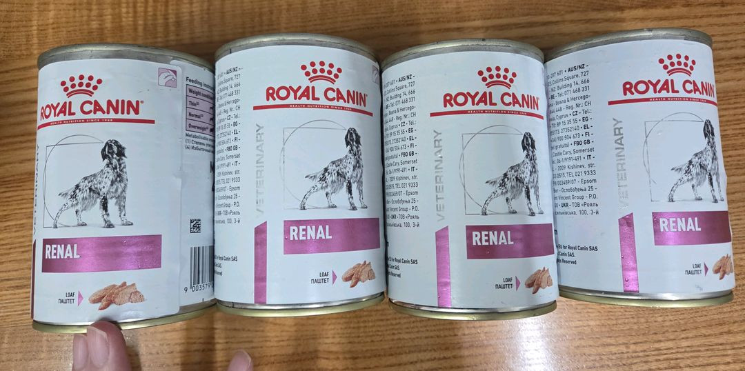 힐스 독 강아지 k/d kd 6캔 & 로얄캐닌 레날 4캔 일괄 판매--1