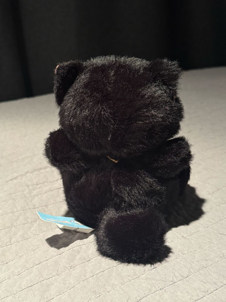 픽시(Pixie)의 냥코디럭스 마스코트(쿠로타로) 검은 고양이 인형 이미지