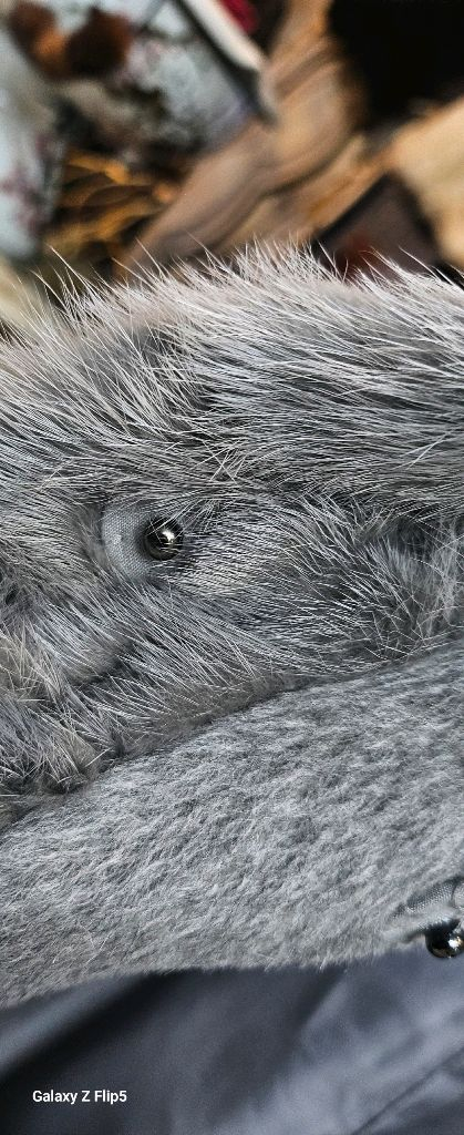 컬러천연밍크핸드메이드 트리밍 롱코트--4