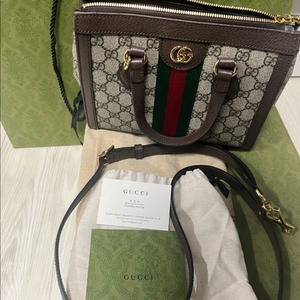 GG 캔버스 미니 핸드백