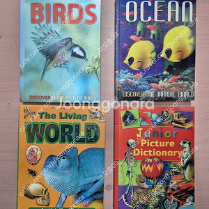 영어원서 마일즈 켈리(Miles Kelly) 4권 택포