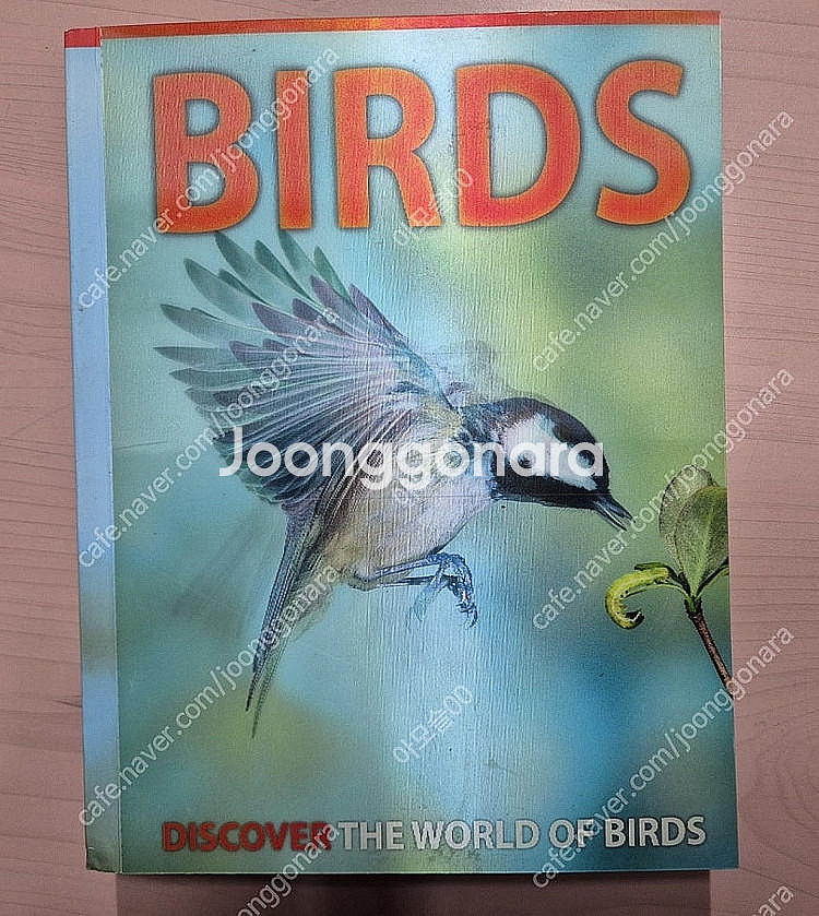 영어원서 마일즈 켈리(Miles Kelly) 4권 택포--4